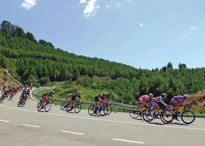 1 Bedroom In Apartman Makarska